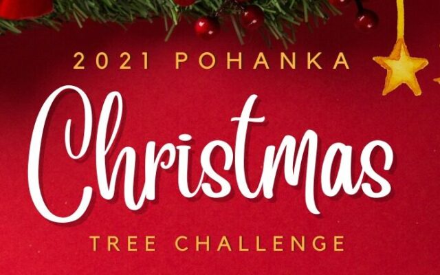 Pohanka Christmas Tree Challenge