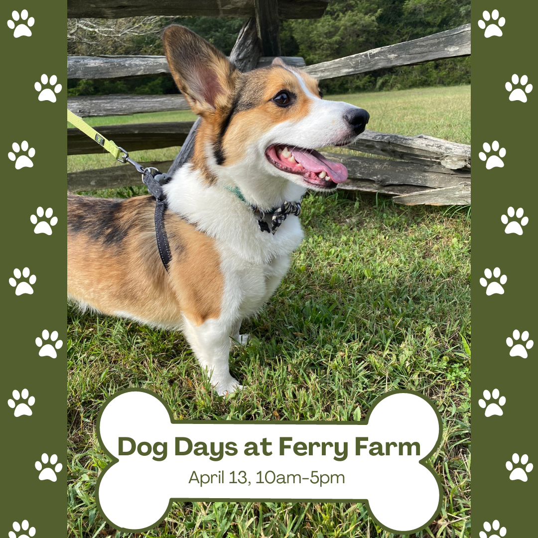 <h1 class="tribe-events-single-event-title">Dog Days at Ferry Farm</h1>